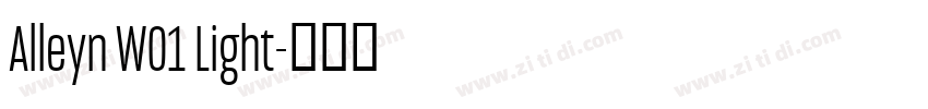 Alleyn W01 Light字体转换